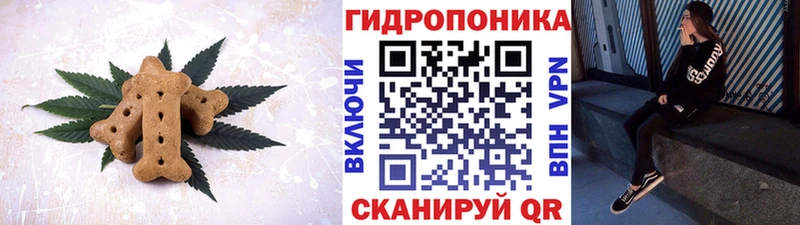 Canna-Cookies марихуана  наркошоп  Пенза 