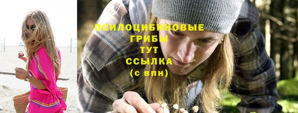 скорость Алзамай