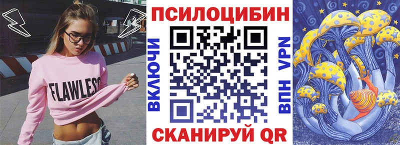 где купить наркотик  Пенза  Галлюциногенные грибы мицелий 