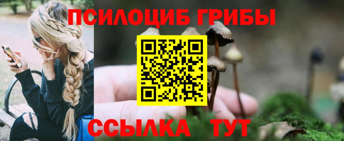 Пенза  Галлюциногенные грибы мицелий  Вход с VPN  Псилоцибиновые грибы Magic Shrooms 